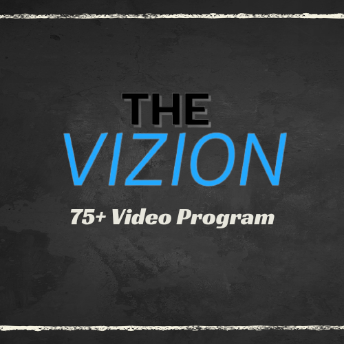 The Vizion Program